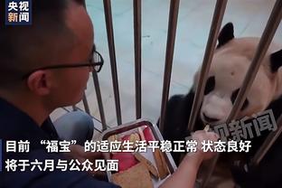 媒体人：武汉女篮祭出“打不还手奖” “荒诞”背后是隐情+自嘲